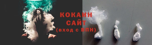ПСИЛОЦИБИНОВЫЕ ГРИБЫ Алексин