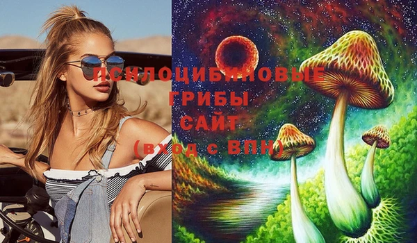 ПСИЛОЦИБИНОВЫЕ ГРИБЫ Алексин