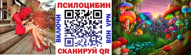 Псилоцибиновые грибы Psilocybe  Лихославль 