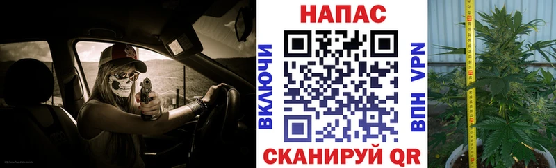 Бошки марихуана White Widow darknet как зайти Лихославль